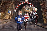 293.jpg