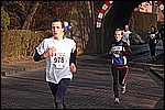 294.jpg
