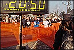 319.jpg