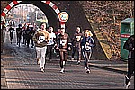 341.jpg
