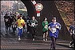 345.jpg