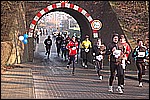 347.jpg