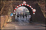 351.jpg
