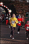 390.jpg