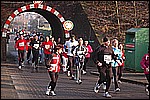 431.jpg