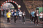 445.jpg