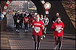 493.jpg