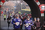 495.jpg