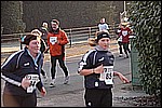 498.jpg