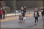 504.jpg