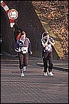 505.jpg