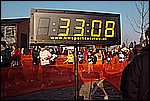 509.jpg