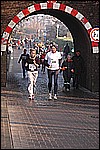 517.jpg