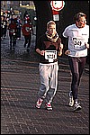 519.jpg