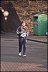 528.jpg