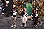 535.jpg