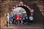 539.jpg