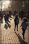 043.jpg