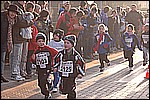 062.jpg